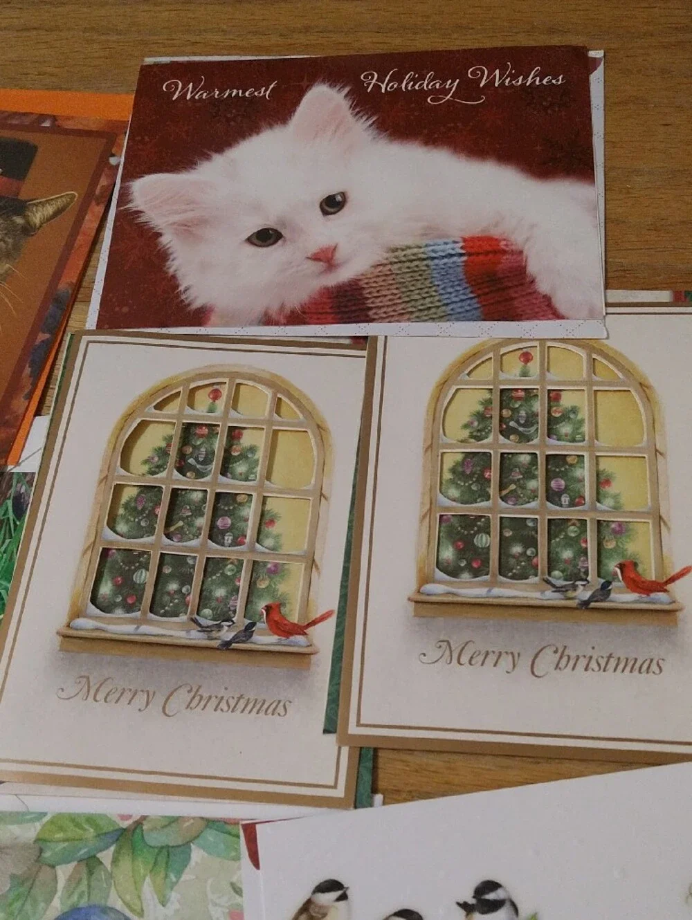 Animal Greeting Cards Assortment - Cats Dogs Birds Other
